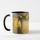 Johannes 8:32 De Waarheid zal u de VRIJE Bijbel Ve Mok (Links)