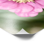 Johann's Beauty Photo Foto Afdruk (Hoek)