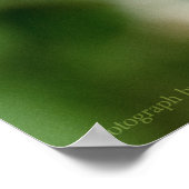 Johann's Beauty Poster (Hoek)