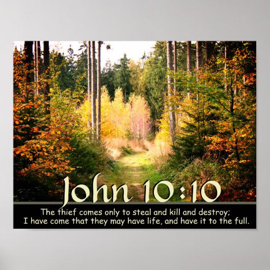 John 10:10 Manuscript, Autumn de Weg van het Bos. Poster (Voorkant)