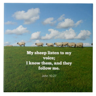 John 10:27, scripture verse, tegeltje