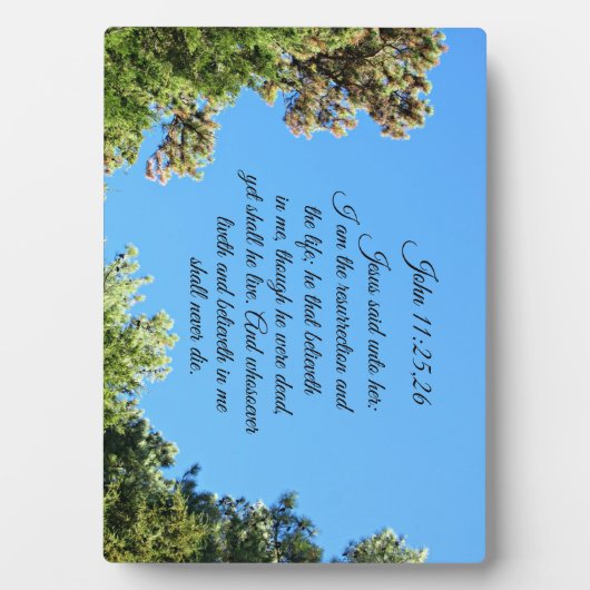 John 11:25.26 Jezus zei tegen haar, ik ben de Fotoplaat (voorkant)