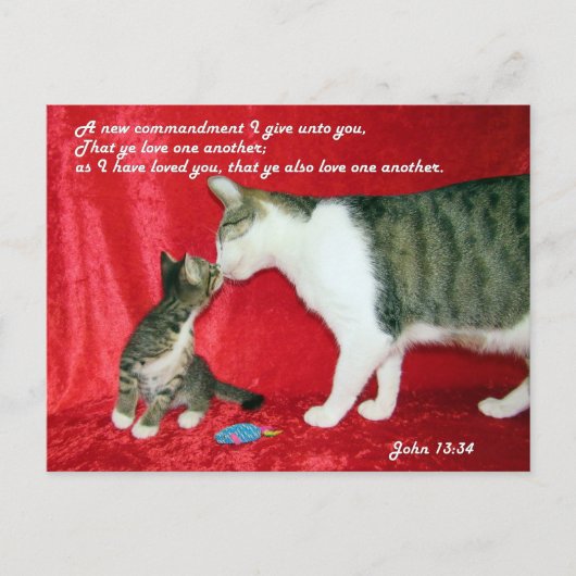 John 13:34 Bible Verse Carte postale (Devant)
