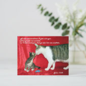 John 13:34 Bijbelverse Briefkaart (Staand voorkant)