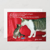 John 13:34 Bijbelverse Briefkaart (Voorkant / Achterkant)