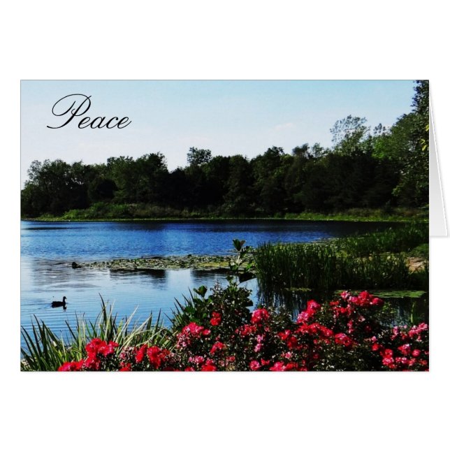 John 14:27 Carte Paix (Devant horizontal)