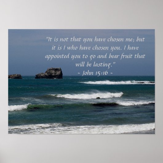 John 15:16 Poster (Voorkant)