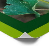 John 15: 4, 5 Manuscript Poster (Hoek)