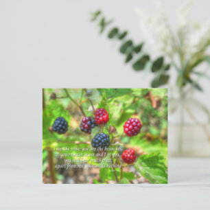 John 15:5 briefkaart