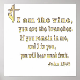 John 15:5-kleding en meer poster