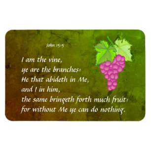 John 15:5 magneet