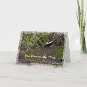 John 16:33 Carte d'encouragement