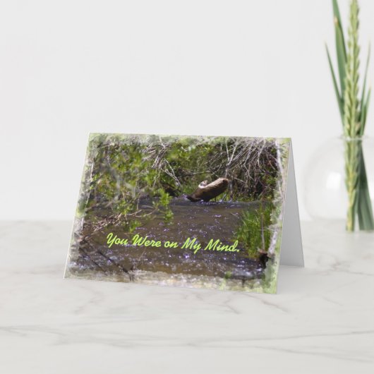 John 16:33 Carte d'encouragement (Devant)