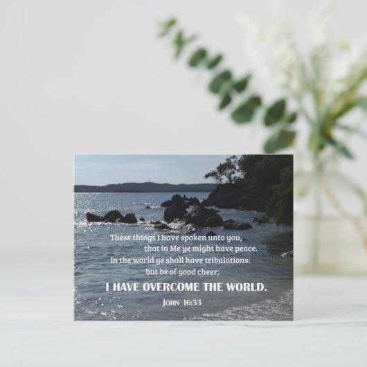 John 16:33 Dat heb ik u gezegd Briefkaart (Staand voorkant)