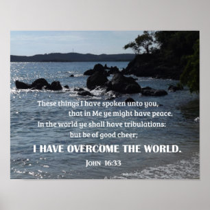 John 16:33 Dat heb ik u gezegd Poster