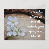 John 1:16 Fleurs de cerise sauvage Carte postale (Devant)