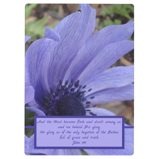 John 1 close-up poppy anemone klembord (Achterkant)