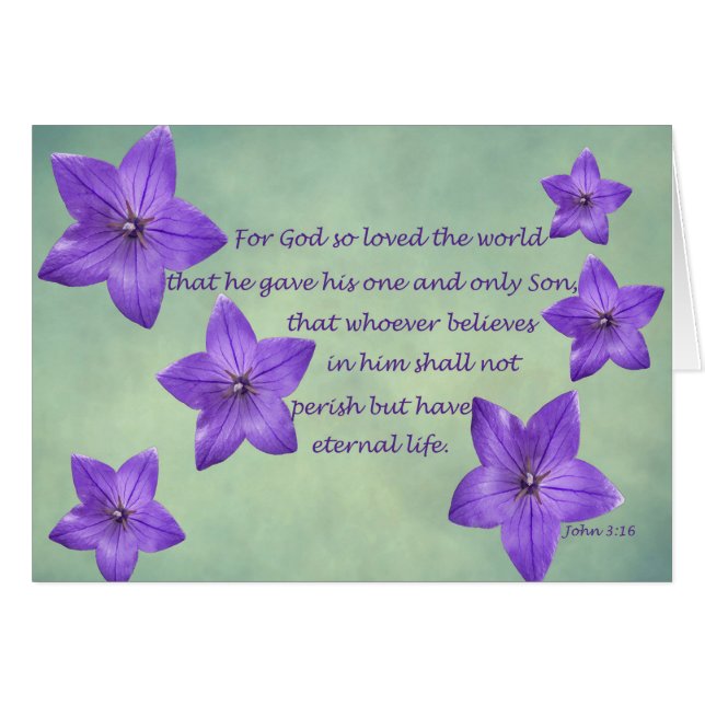 John 3:16 (Devant horizontal)