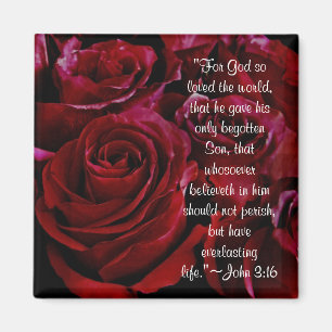 John 3:16 aimant roses rouges