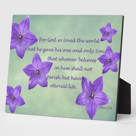 John 3:16 fotoplaat (Zijkant)