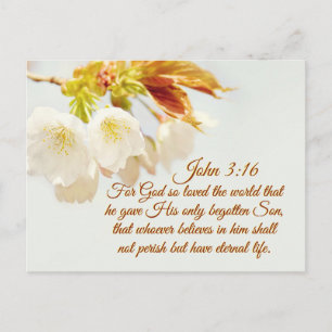 John 3:16 God hield zo van de wereld, Manuscript Briefkaart