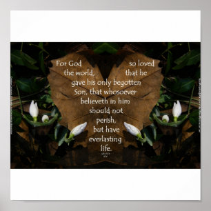 John 3:16 Koning James poster basisportefeuille