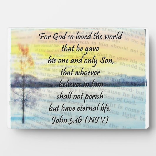 John 3:16 Plaque (Devant)