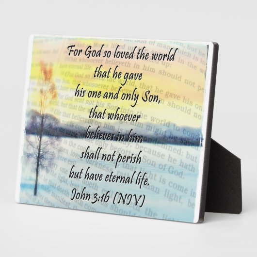 John 3:16 Plaque (Côté)