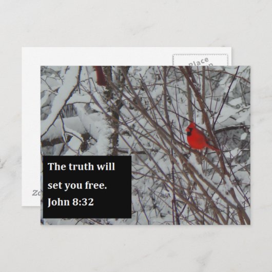 John 8:32 Scripture Post Card Briefkaart (Voorkant / Achterkant)