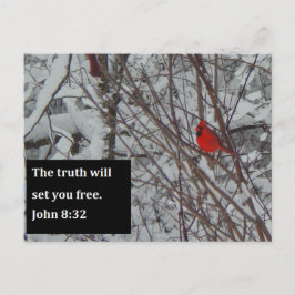 John 8:32 Scripture Post Card Briefkaart