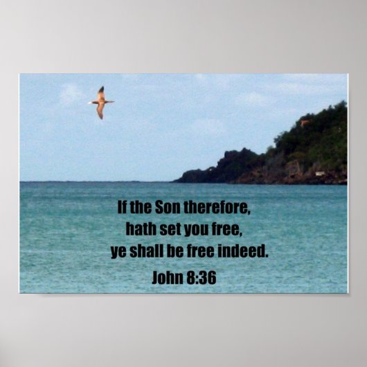 John 8:36 poster (Voorkant)