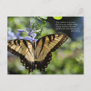 John 8 Yellow Swallowtail Butterfly Briefkaart