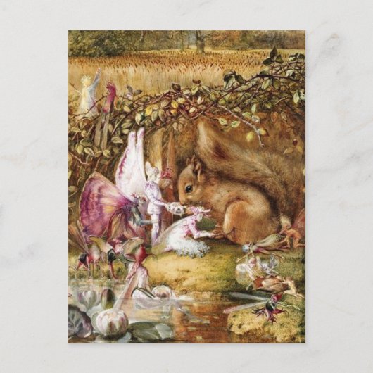 John Anster Fitzgerald - De gewonde eekhoorn Briefkaart (Voorkant)