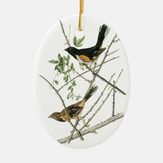 John Audubon Rufous-sided Towee Keramisch Ornament (Voorkant)