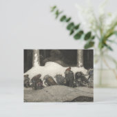 John Bauer - in de Kerstnacht Feestdagenkaart (Staand voorkant)