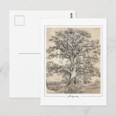 John Constable #545-2 - Carte postale d'art fin (Devant / Derrière)