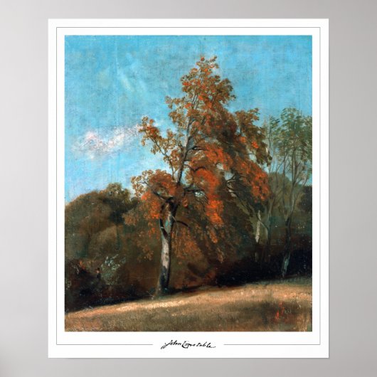 John Constable Zedign Poster d'art #23 (Devant)
