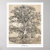 John Constable Zedign Poster d'art #545-2 (Devant)