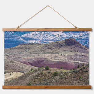 John Day Fossil Beds National Monument, Oregon Hangend Wandkleed