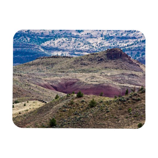 John Day Fossil Beds National Monument (Oregon) Magneet (Horizontaal)