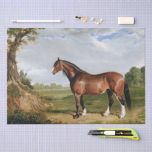 John Frederick Herring Een Clydesdale-hengst Tissuepapier