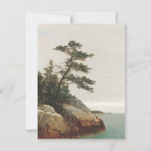 John Frederick Kensett Old Pine Landscape Print Briefkaart