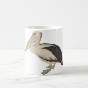 John Gould Pelican mok