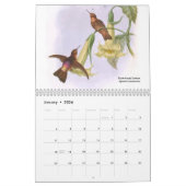 John Gould's Hummingbird 2014 Kalender (Jan 2026)
