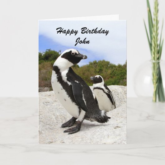 John Happy Birthday Penguins Carte d'Humour (Devant)