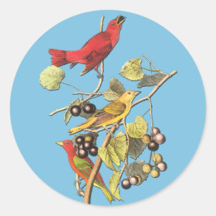 John J. Audubon Stickers d'été de Tanager Bird Art
