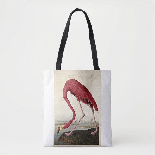 John James Audubon, American Flamingo; Draagtas (Voorkant)