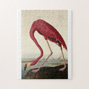 John James Audubon - American Flamingo Legpuzzel