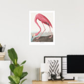 John James Audubon Amerikaanse Flamingo Wildlife A Poster (Thuiskantoor)