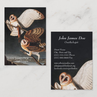 John James Audubon Barn Owls Carte de visite